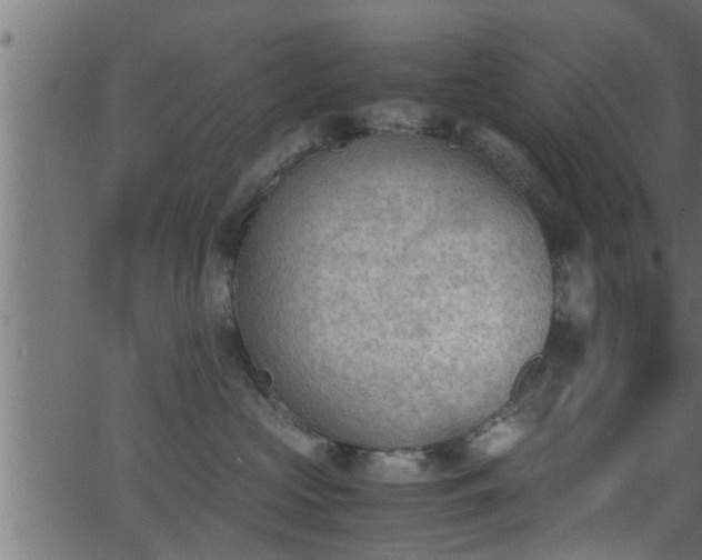 X0000062870573200601171424