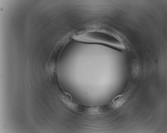 X0000062870574200601171424