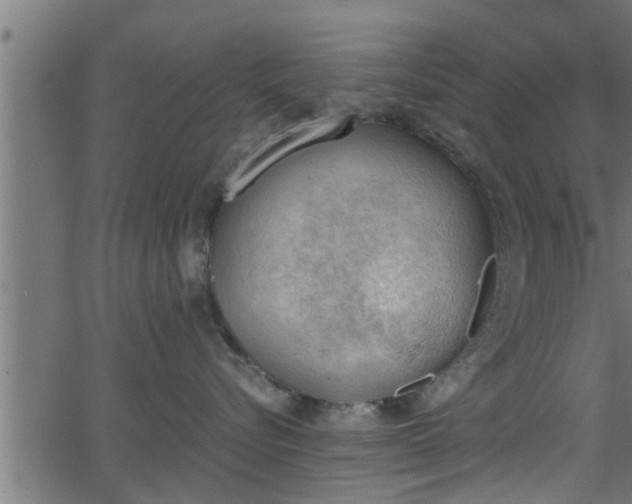 X0000062870576200601171424