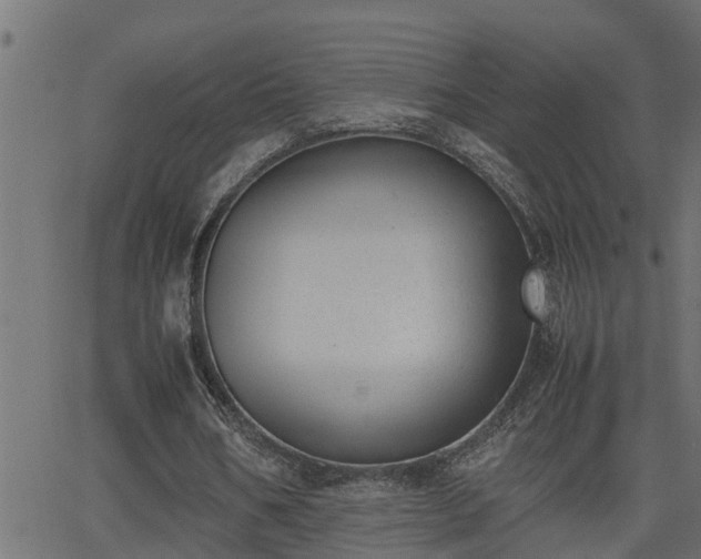 X0000062870578200601171424