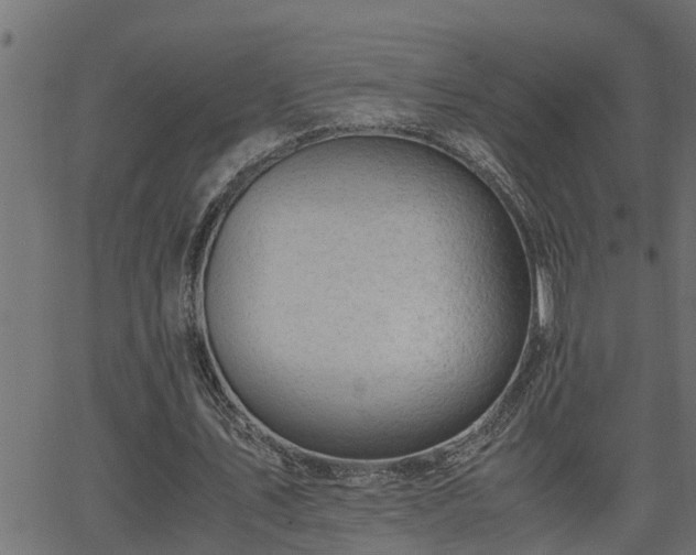 X0000062870579200601171424