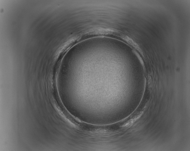 X0000062870581200601171424