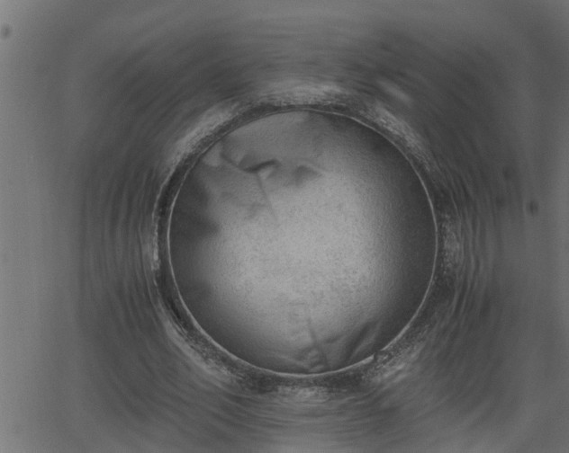 X0000062870582200601171424