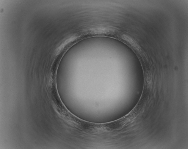 X0000062870583200601171423