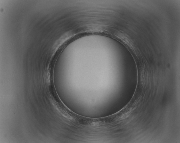 X0000062870584200601171423