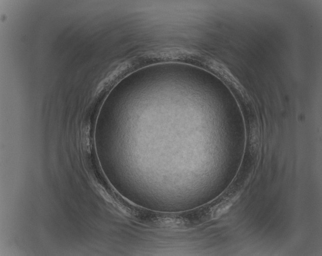 X0000062870585200601171423