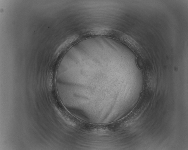 X0000062870586200601171423