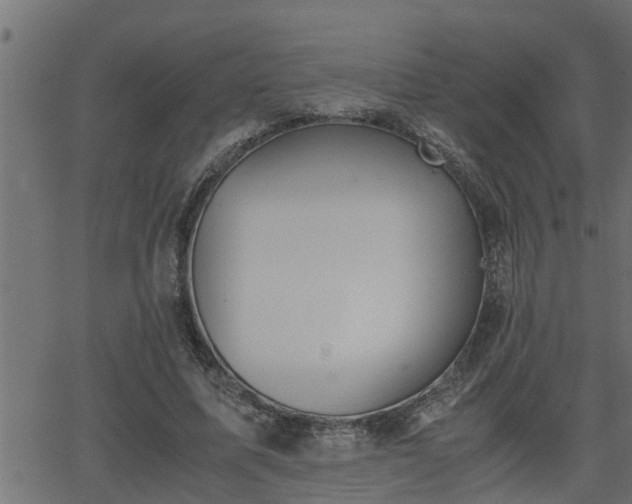 X0000062870587200601171423