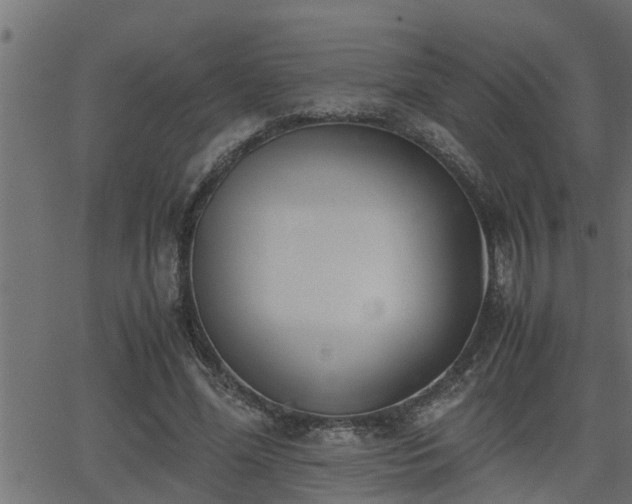 X0000062870588200601171423