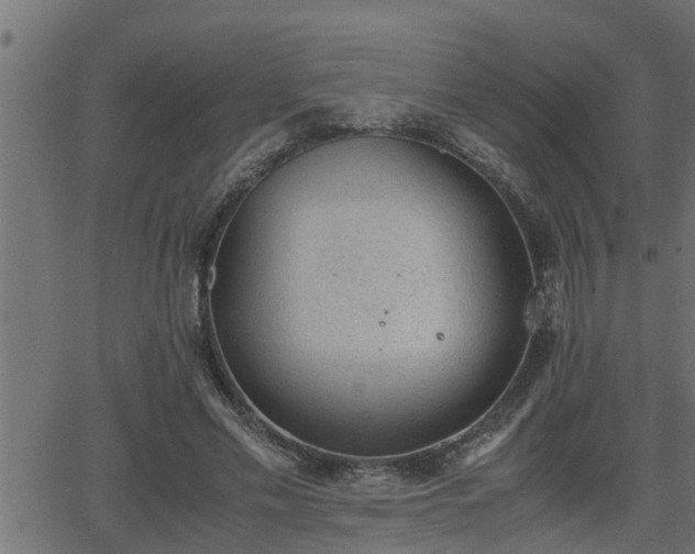 X0000062870589200601171423