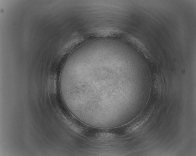 X0000062870590200601171423