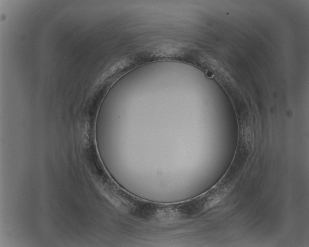 X0000062870591200601171423