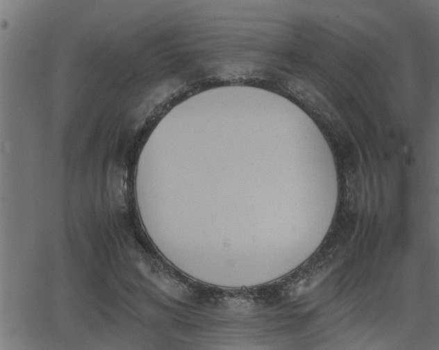 X0000062870592200601171423