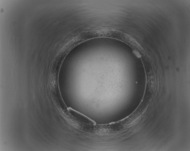 X0000062870593200601171423