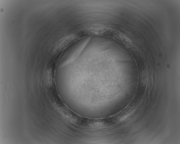 X0000062870594200601171423