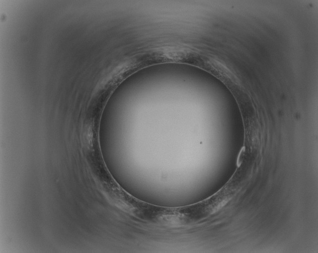 X0000062870595200601171423