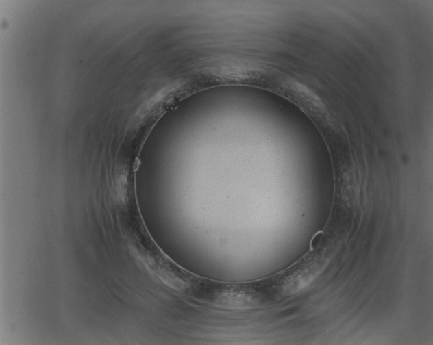 X0000062870596200601171423