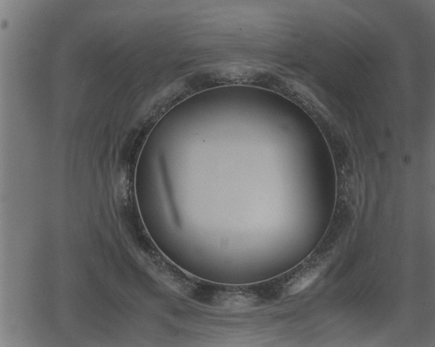 X0000062870597200601171423