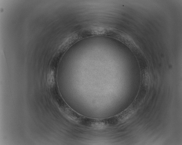 X0000062870598200601171423