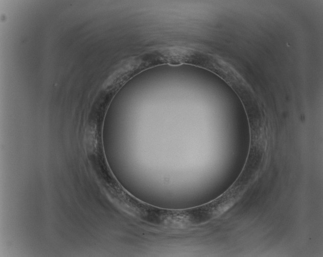 X0000062870599200601171423