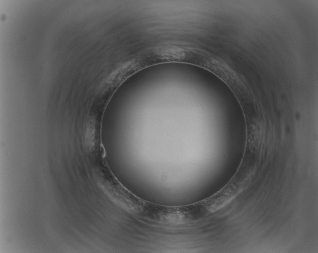 X0000062870600200601171423