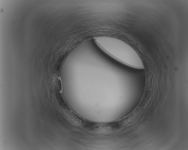 X0000062870601200601171423