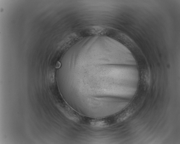 X0000062870602200601171423