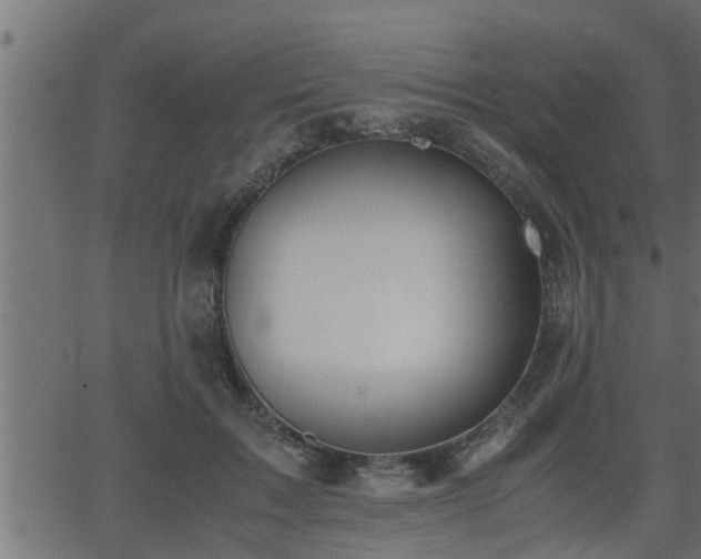 X0000062870603200601171423