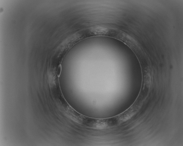 X0000062870604200601171423