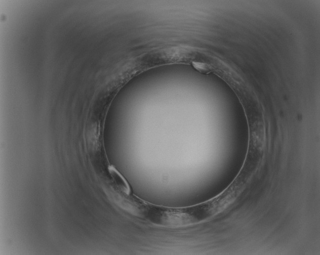 X0000062870605200601171423