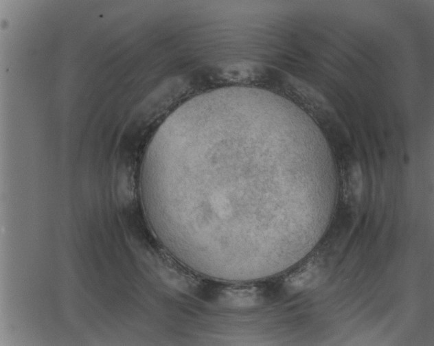 X0000062870606200601171423