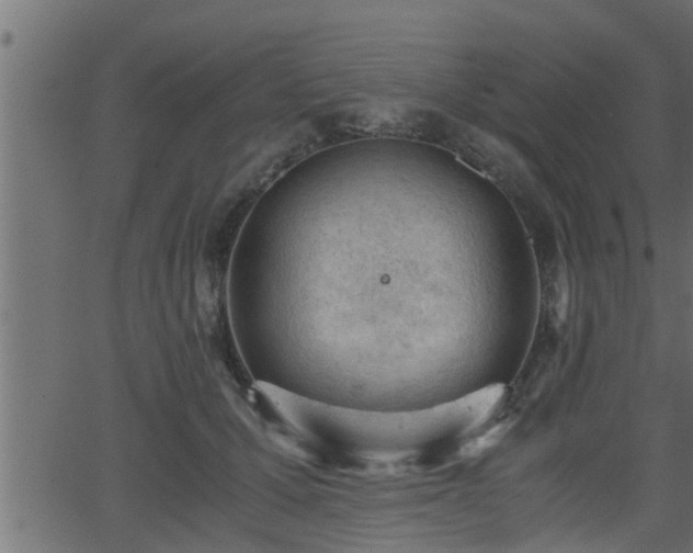 X0000062870607200601171423