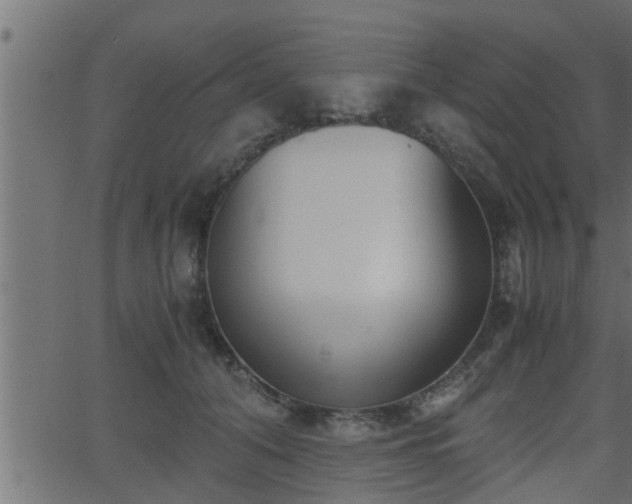 X0000062870608200601171423