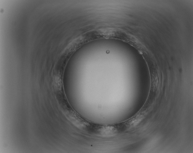 X0000062870609200601171423