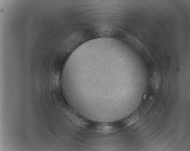 X0000062870610200601171423