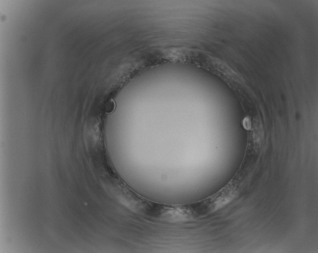 X0000062870611200601171423