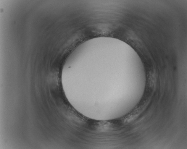 X0000062870612200601171423