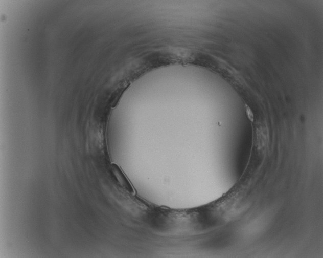 X0000062870613200601171423