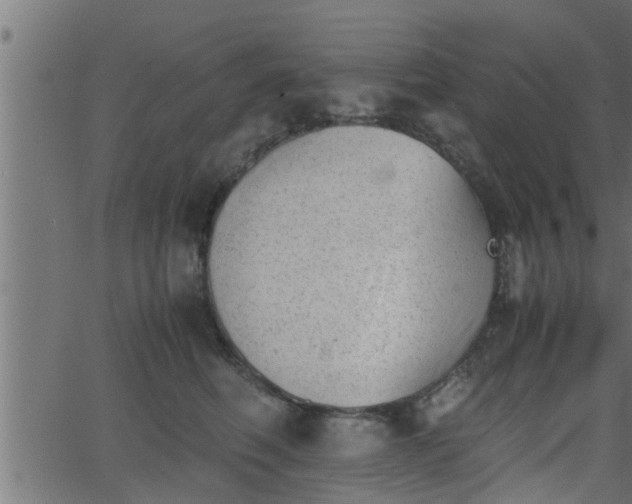 X0000062870614200601171423