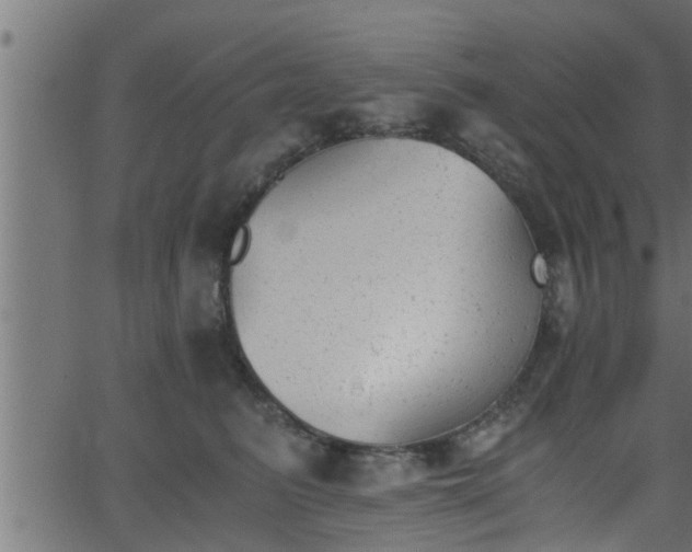 X0000062870615200601171423