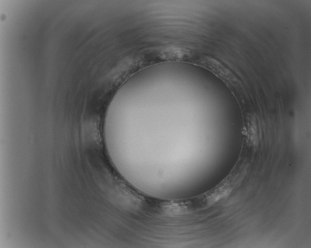 X0000062870616200601171423