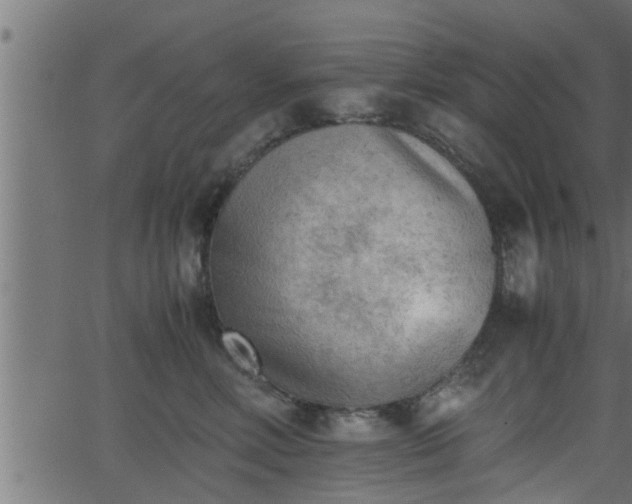 X0000062870618200601171423