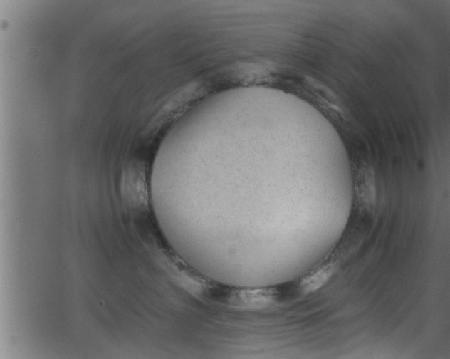 X0000062870622200601171423