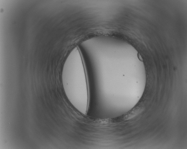 X0000062870624200601171423