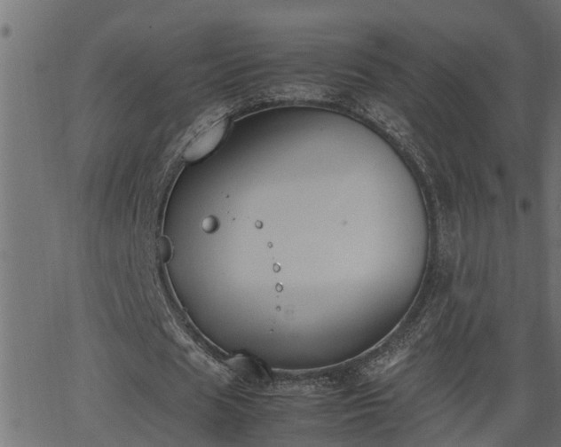 X0000062870625200601171422