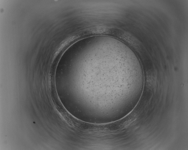 X0000062870626200601171422