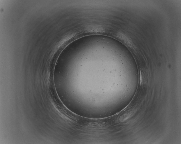 X0000062870627200601171422