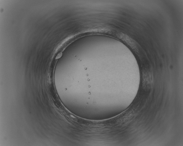 X0000062870628200601171422