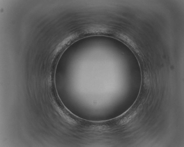 X0000062870629200601171422