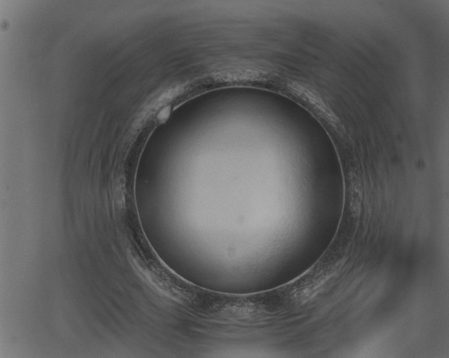 X0000062870631200601171422